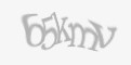 Защитный код